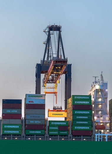 import & export support